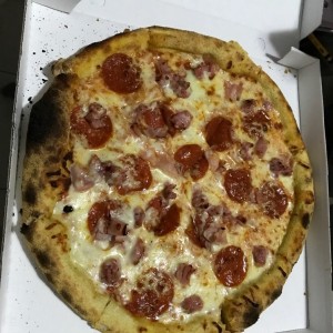 carnivora
