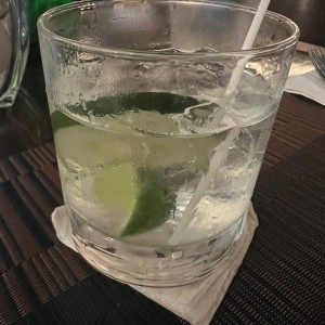 Gin and Tonic