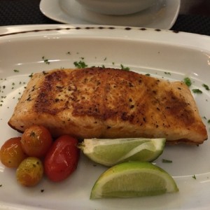 Salmon 