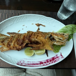 Mar - Pargo frito
