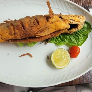 pargo entero