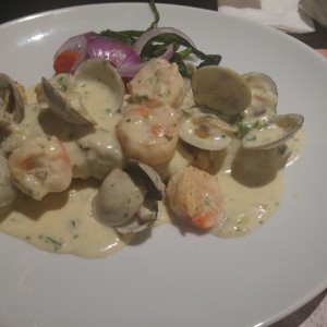 corvina