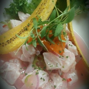 Ceviche de Pesca del Dia