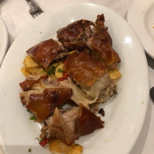 Cochinillo
