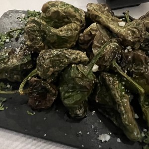 Pimientos del padron