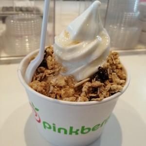 Yogurt con granola mixta y miel.