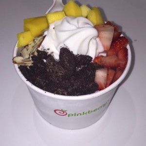 Helado de Yogurt con Fruta
