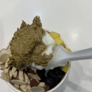 Frozen Yogurt con Toppings