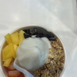 Frozen Yogurt con Toppings
