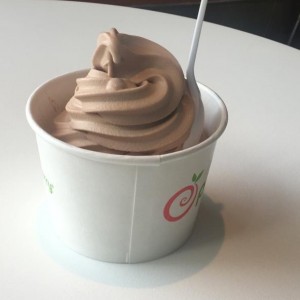 Yogurt Mediano solo 12 Oz
