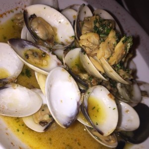 Vongolo al Aglioleo