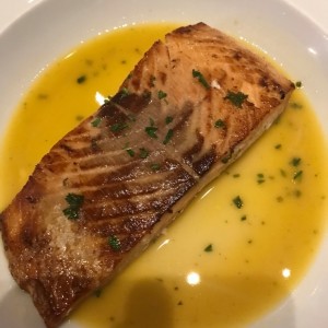 Salmon