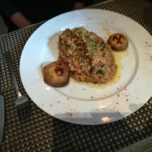 Risotto al Funghi Porccini