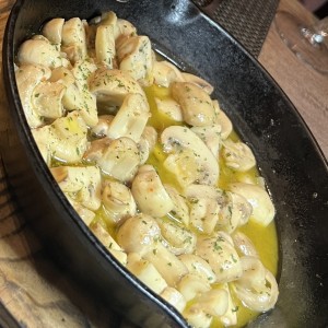 Hongos