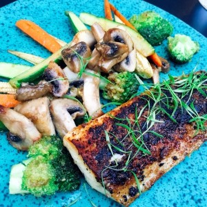 cobia
