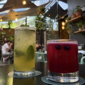 Bebidas