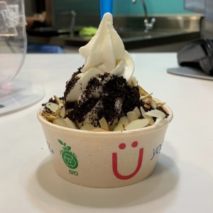 Helado plain con oreo y almendras