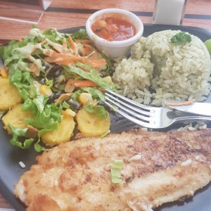 Corvina a la Plancha
