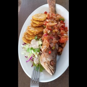 Corvina Entera Frita o en Salsa Criolla