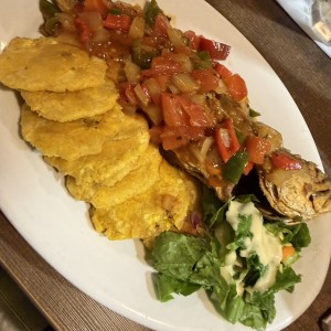 Corvina Entera Frita o en Salsa Criolla