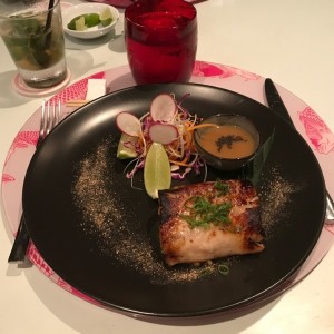 Cobia 