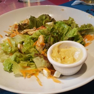 Ensalada Garibaldi