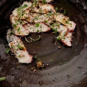 Pulpo
