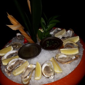 the oysters
