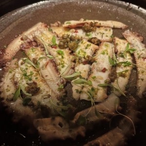 COLD - OCTOPUS NIDAKO