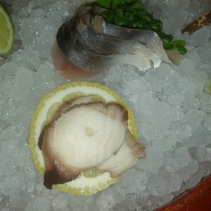 Sashimi