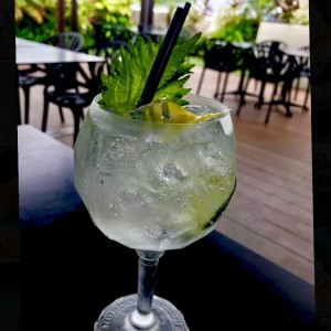 makoto gin tonic