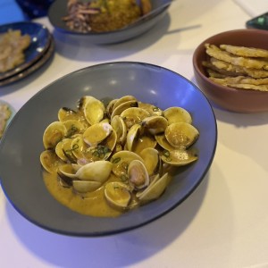 Almejas