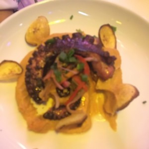 tentaculo de pulpo evolucionado