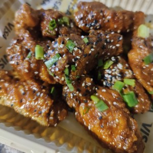 AfricanCheetahWings