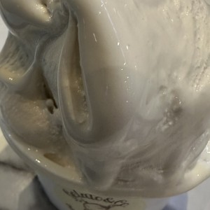Coco y Dulce de Leche