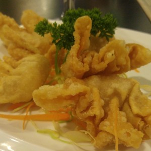Entradas - Wanton frito