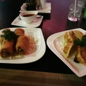 rollos primavera y empanaditas chinas 