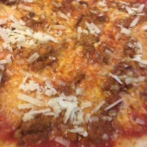 Bolognesa