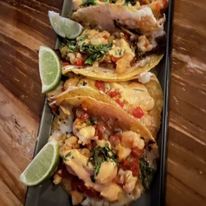 TACOS - Gobernador- Unidad