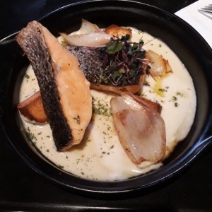 salmon
