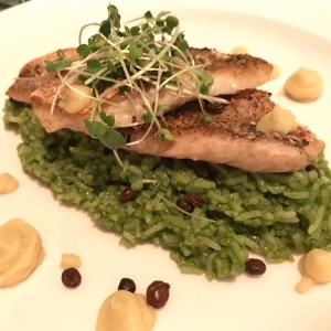 Pargo