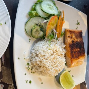 salmon