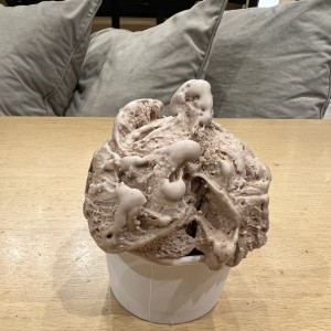 Gelato de avellanas