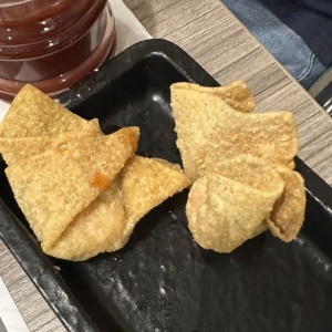 03 - Wanton relleno