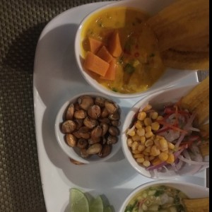 ceviche tataki