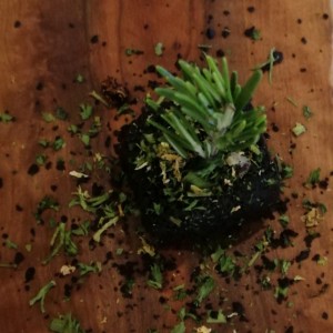 Mantequilla de la casa