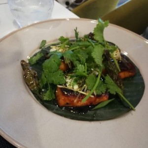 salmon