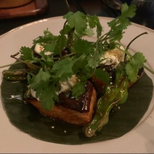 salmon