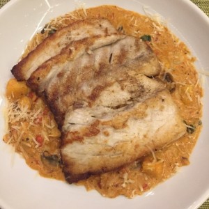 corvina primavera