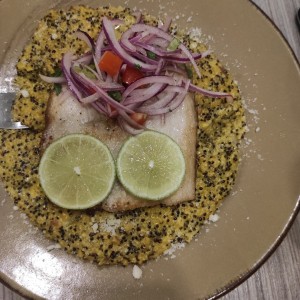 Nicotto con pescado